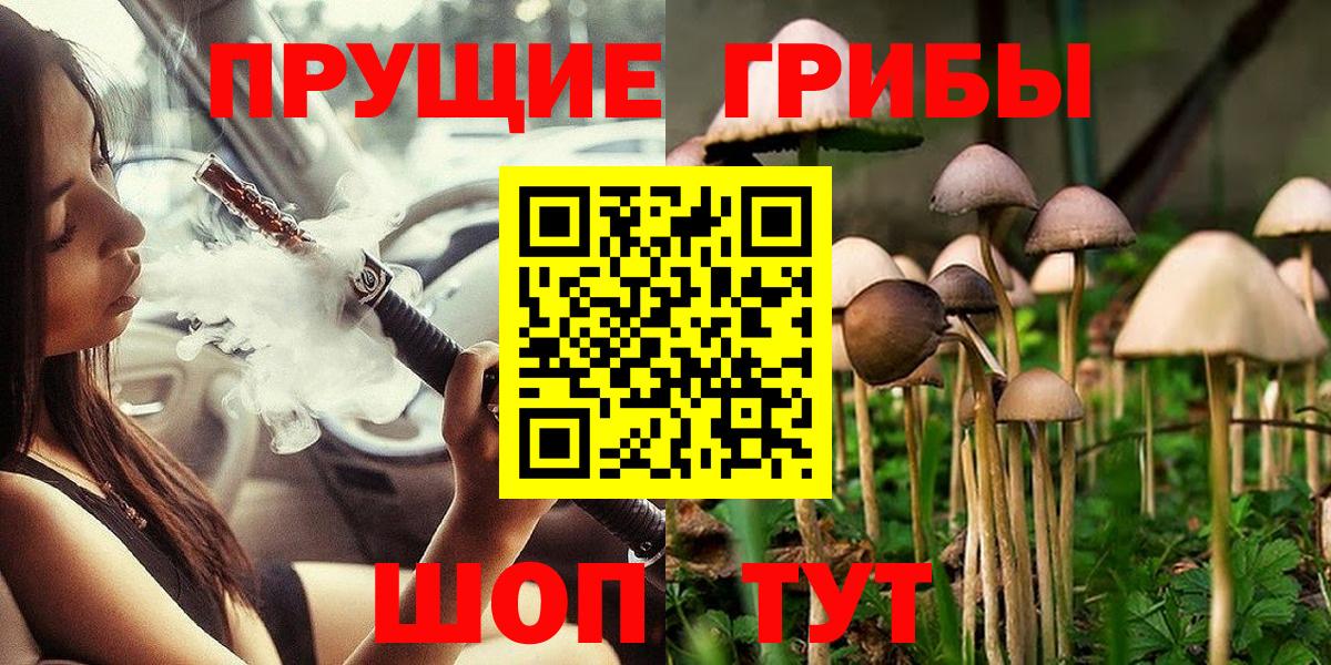 Псилоцибиновые грибы Psilocybine cubensis Волжск