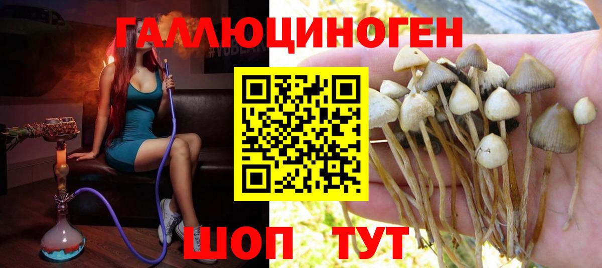 Волжск  Псилоцибиновые грибы мицелий  Вход с VPN 